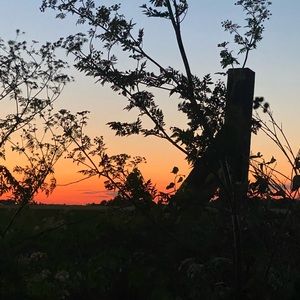 Meet your Posher, Miranda